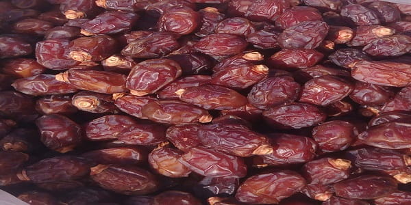 تصویر 2 از خرید و قیمت خرما هلیله خشک + فروش عمده
